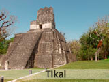 Tikal