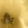 Grippe Aviaire