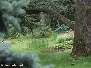 Jardin Albert Kahn