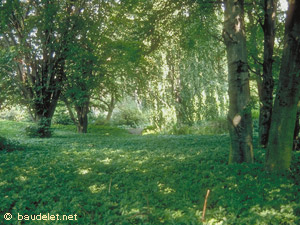 Jardin Albert Kahn