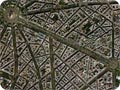 Champs-Elysées