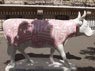 Cow Around the Clock