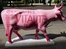 La Viande et ses Bienfaits