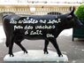 Les Artistes ne sont pas des Vaches &agrave; Lait
