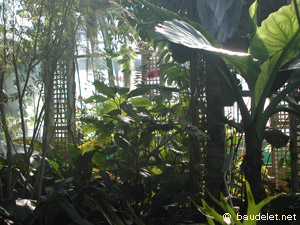 Jardin des Serres d'Auteuil