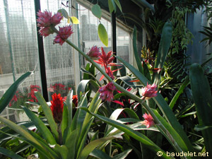 Jardin des Serres d'Auteuil