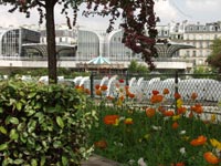 Jardin des Halles