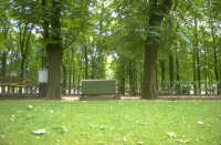 Jardin du Luxembourg