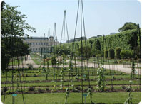 Jardin des Plantes
