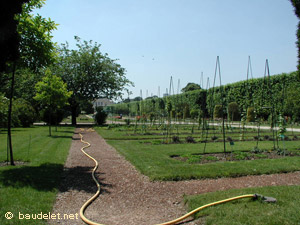 Jardin des Plantes