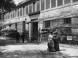 Ancien Museum du Jardin des Plantes