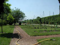 Jardin des Plantes