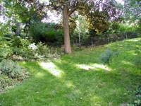 Jardin Sauvage Saint-Vincent