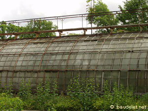Jardin Tropical