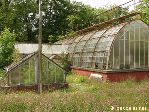 Jardin Tropical
