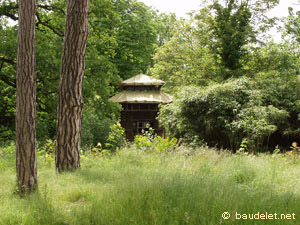 Jardin Tropical