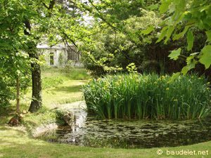 Jardin Tropical