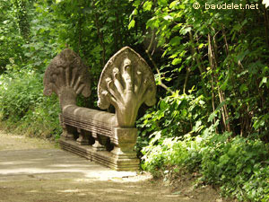 Jardin Tropical