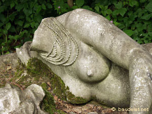 Jardin Tropical