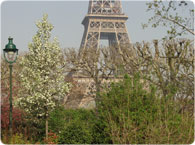 La Tour Eiffel