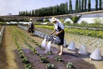 Gustave Caillebotte - Les Jardiniers