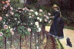Les Roses, Jardin du Petit-Gennevilliers