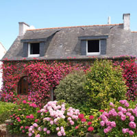 Ile de Bréhat