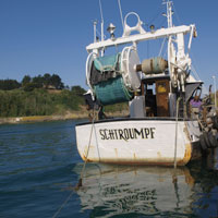 Port de Dahouët