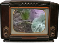 Repiquages en Vidéo