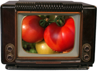 Conseils Jardinage Tomates en Vidéo