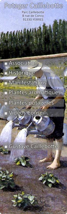 Potager Caillebotte