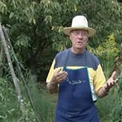Conseils de Jardinage
