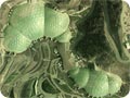 Eden Project