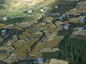 Paro
