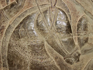 Angkor Vat
