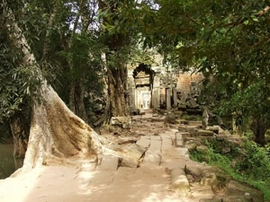 Ta Prohm