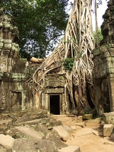 Ta Prohm