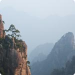 Chine