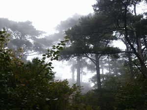 Huangshan
