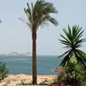Abu Simbel