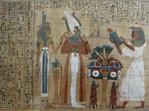 Papyrus