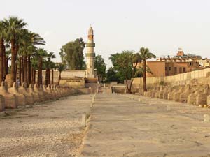 Temple de Louxor - Luxor Temple