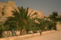 Alicante