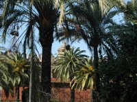 Seville