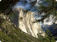 Yosemite Park