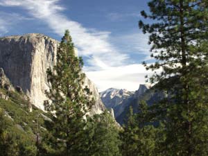 Yosemite Park
