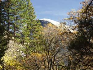 Yosemite Park