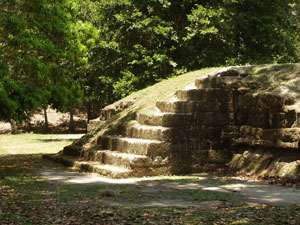 Tikal