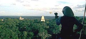 Tikal