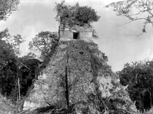 Tikal